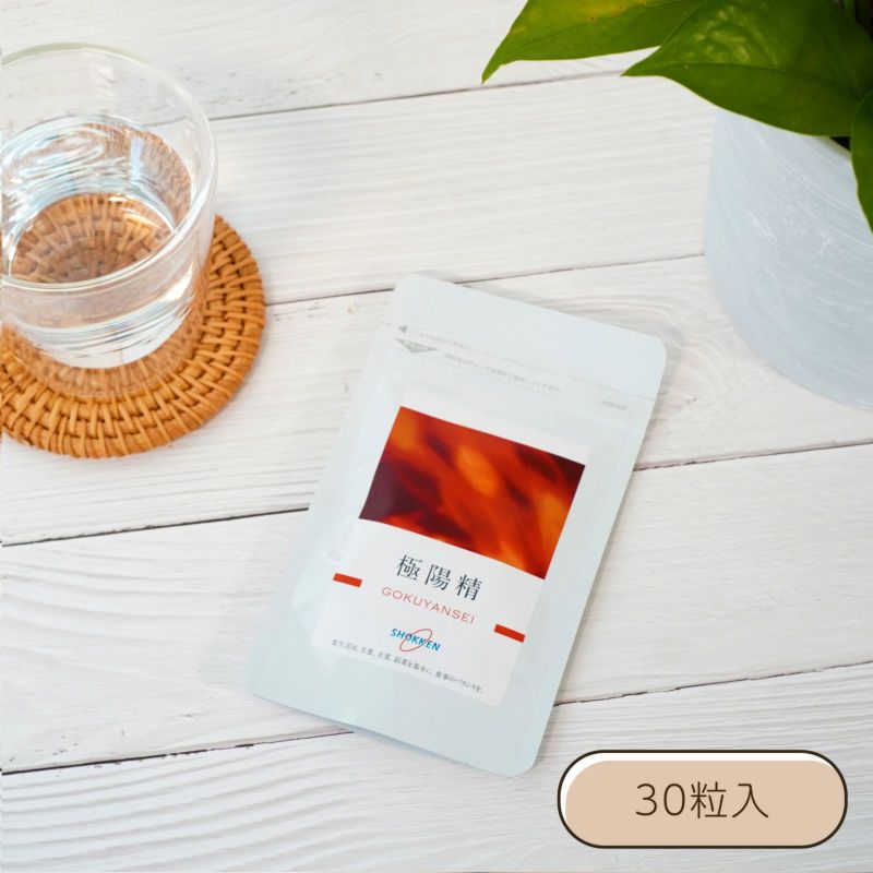 極陽精 (ごくやんせい) 30粒入(202501hon)