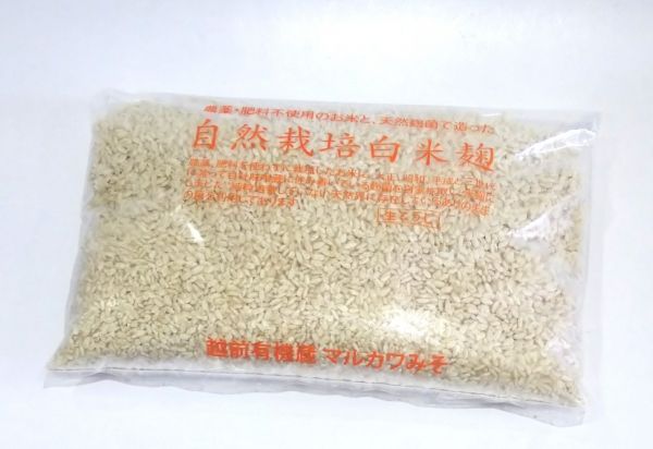 【農薬、肥料を使わない自然栽培の白米麹】自然栽培白米麹500g【クール便発送】